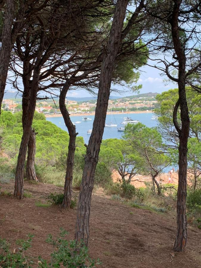 Apartamento Luminoso Paloma A 350 Metros De La Playa Con Parking Gratuito Sant Feliu de Guíxols Exterior foto