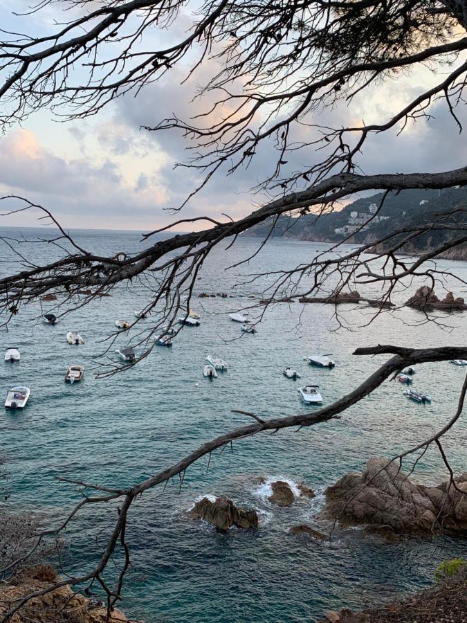 Apartamento Luminoso Paloma A 350 Metros De La Playa Con Parking Gratuito Sant Feliu de Guíxols Exterior foto