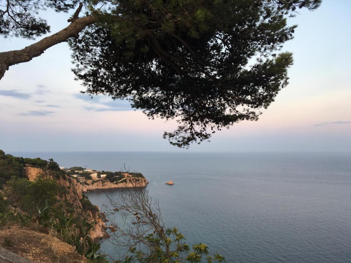 Apartamento Luminoso Paloma A 350 Metros De La Playa Con Parking Gratuito Sant Feliu de Guíxols Exterior foto